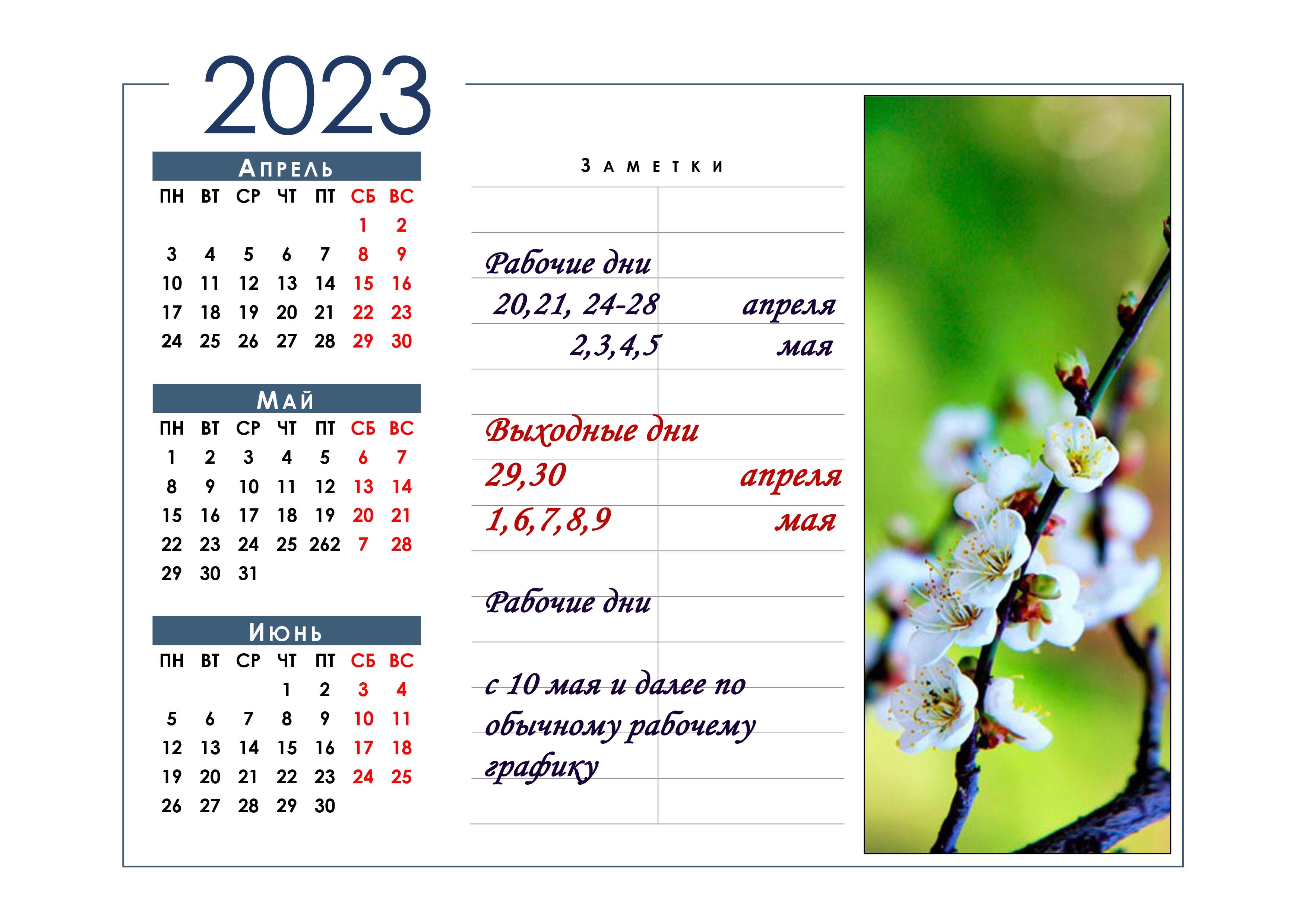 2023 calendar s izobrag баннер